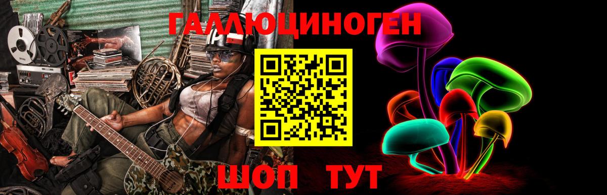 Горно-Алтайск  Галлюциногенные грибы Cubensis  Вход с VPN 